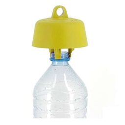 Trappola per calabroni simile Tap Trap ma per bottiglecon imbocco pi&ugrave; grande