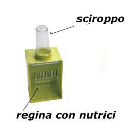 Isolatore regina e/o allevamento nuove regine Lyson