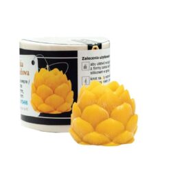 Stampo per candele in silicone - CONO DI LUPPOLO