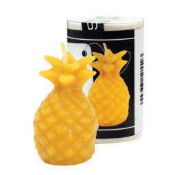 Stampo per candele in silicone -ANANAS