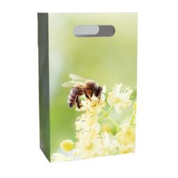 Sacchetto regalo in cartone 300x490x95mm, TP3F