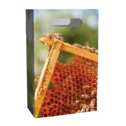 Sacchetto regalo in cartone 300x490x95mm, TP3C