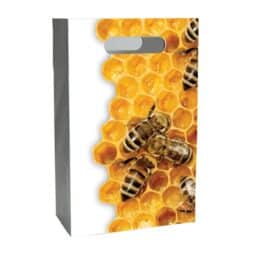 Sacchetto regalo in cartone 300x490x95mm, TP3D