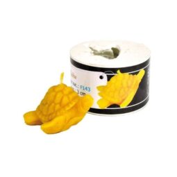 Stampo per candele in silicone - TARTARUGA