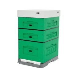 Arnia 10 favi cubo POLISTIRENE in KIT con doppio melario Dadant verniciata Green Lyson
