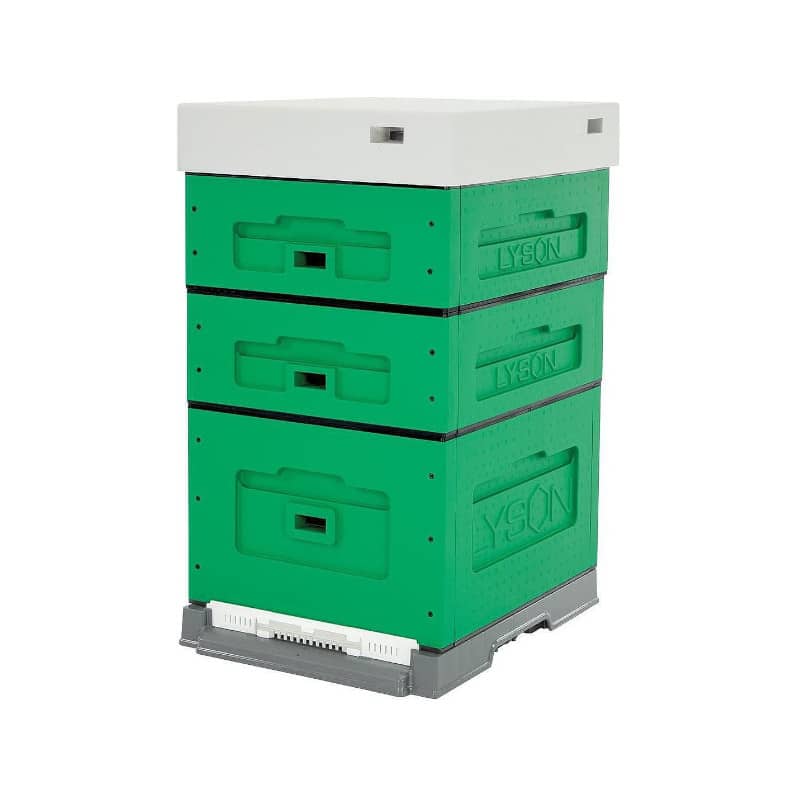Arnia 10 favi cubo POLISTIRENE in KIT con doppio melario Dadant verniciata Green Lyson