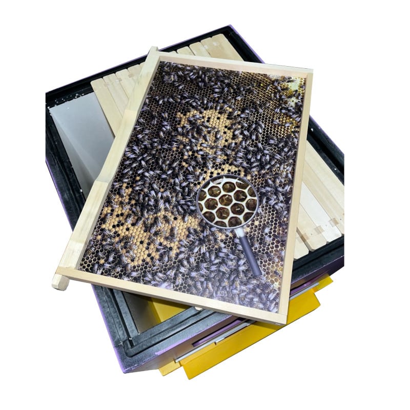 Arnia didattica educativa con 12 pannelli illustrativi bifacciali da 470*300mm - immagine 4
