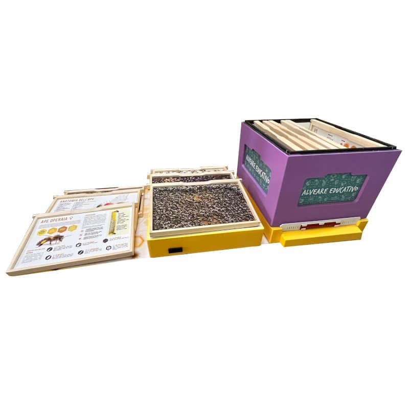 Arnia didattica educativa con 12 pannelli illustrativi bifacciali da 470*300mm - immagine 2