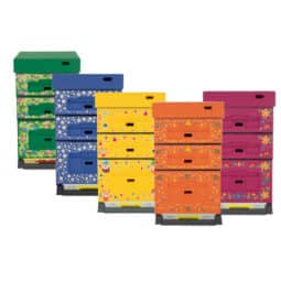 Arnia 10 favi POLISTIRENE con doppio melario Dadant verniciata e stampata - vari colori Lyson