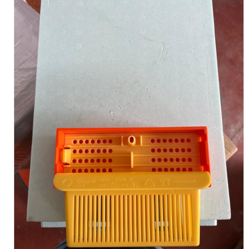 Trappola Polline per arnia 6 Favi polistirolo e anche legno - immagine 4