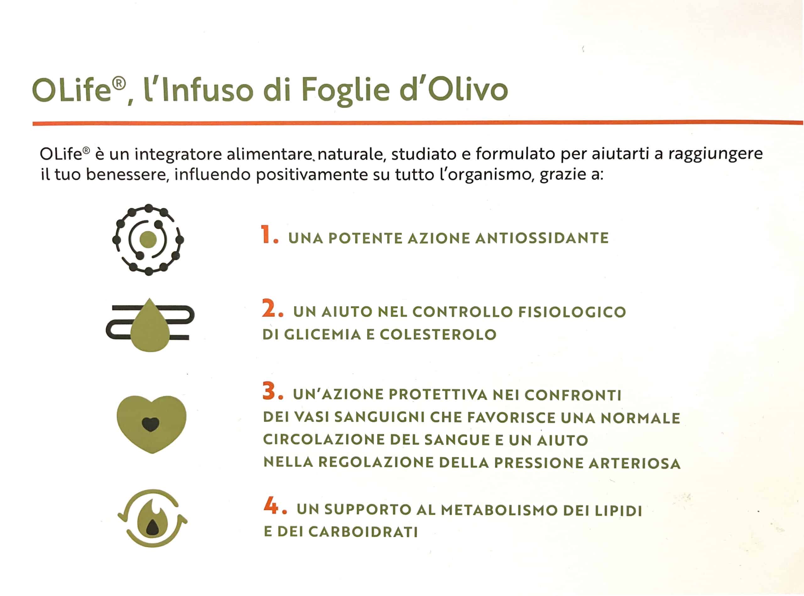 Infuso di foglie d'Olivo e fiori di Calendula Officinalis - immagine 2
